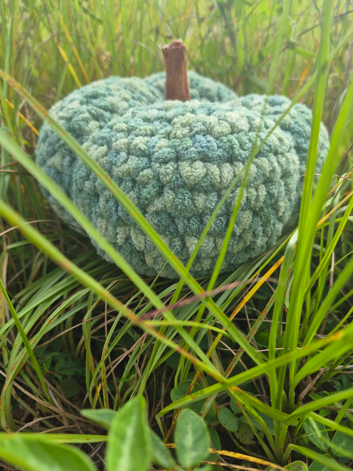 Crochet Class: Beginner Crochet Pumpkin