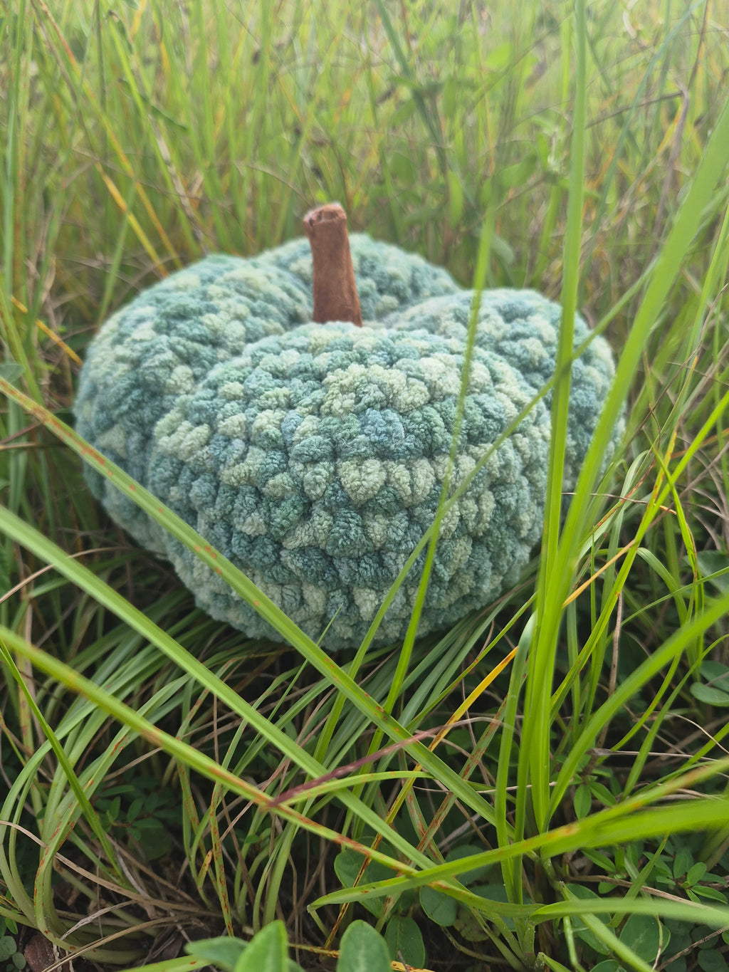 Crochet Class: Beginner Crochet Pumpkin